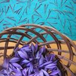 Profile Picture of Brigitte Levy (@brigitte.levy) on Instagram