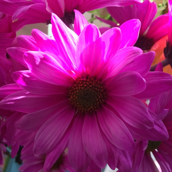 Anna Klauer - Poshmark Profile Picture of Anna Klauer (@klauera1) on Poshmark