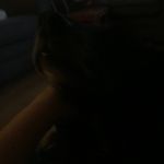 Profile Picture of David Geddis (@david.geddis.393) on Instagram