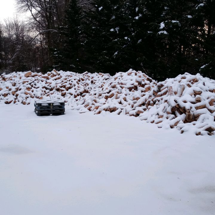 Profile Picture of Joshua Barrios (@joshuabarrios0) on Tiktok