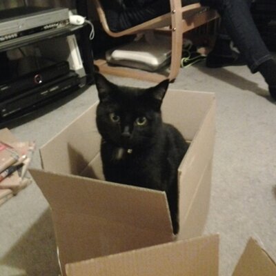 Profile Picture of Alison Locke (@@LockeAllison) on Twitter