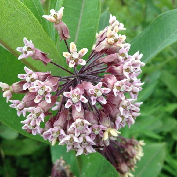 Shannon Balanon - Poshmark Profile Picture of Shannon Balanon (@jonnyscrumpchin) on Poshmark