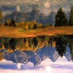 Profile Picture of stephenie (@presnellulz) on Instagram