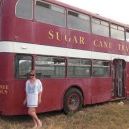 Profile Picture of Amanda Hansen (@amandaraehansen) on Pinterest