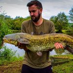 Profile Picture of Matt Avery (@mattavery15) on Instagram