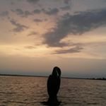 Profile Picture of Jason Krajcik (@jasonkrajcik549) on Instagram