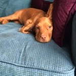 Profile Picture of Della (@della_wolfe) on Instagram