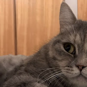 Profile Picture of Chun Hsu (@chunhsu8795) on Youtube