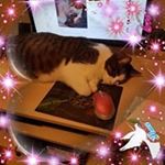 Profile Picture of Felisha Dolson (@felishadolson) on Instagram