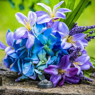 Profile Picture of Julia Abrams (@JuliaAbrams16) on Twitter