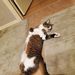 Profile Picture of Steven Bucek (@stevenbucek) on Pinterest