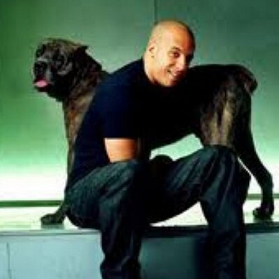 Profile Picture of Kevin Wiley (@kevinwiley3) on Twitter