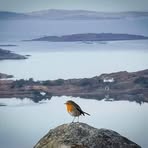 Profile Picture of Paul Holden (@Paul-Holden) on Facebook