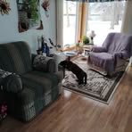 Profile Picture of Loraine Boudreau (@lorraineboudreau) on Facebook