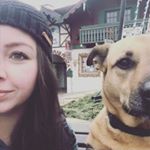 Profile Picture of Sarah N. Burgess (@sariburgess) on Instagram