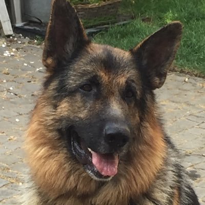 Profile Picture of Pauline Watts (@paulievias) on Twitter