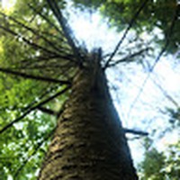 Profile Picture of Scott Fontes (@scott-fontes-2) on Quora