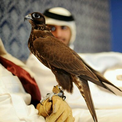 Profile Picture of Faisal AlThani (@FAJ_AlThani) on Twitter