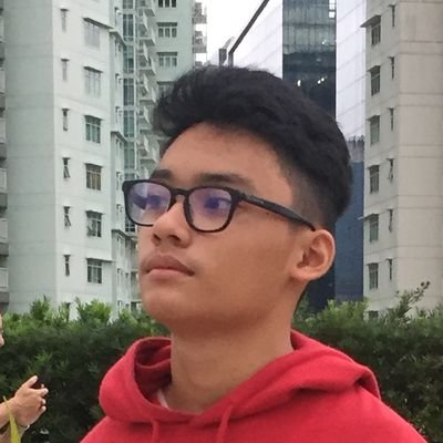 Michel Vincent Cristino - Twitter Profile Picture of Michel Vincent Cristino (@Michael54886174) on Twitter