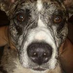 Profile Picture of Angela Holcomb (@aholcomb76) on Instagram