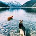 Profile Picture of Jordan Schneider (@jordache711) on Pinterest