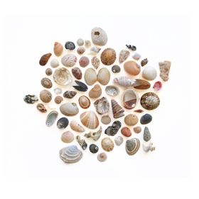 Belinda Evans - Pinterest Profile Picture of Belinda Evans (@belinda__evans) on Pinterest