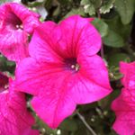 Profile Picture of Alvin Dovelius (@alvindovelius) on Instagram