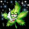 Profile Picture of michaelchatham852 (@michaelchatham852) on Tiktok