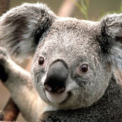 Profile Picture of Carl Mackey739 (@@carlmackey739) on Tiktok