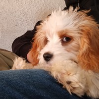 Profile Picture of James Lich (@james-lich-1) on Quora