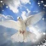 Profile Picture of Zoila Hidalgo (@zoila.hidalgo.731) on Instagram