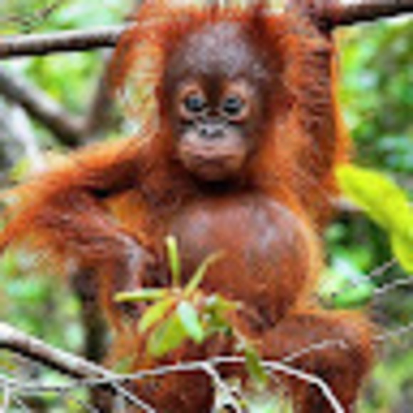 Profile Picture of Jaime Smith (@jaimesmith574) on Poshmark