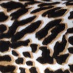 Profile Picture of Harmony (@harmony_perry) on Instagram