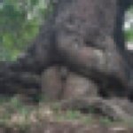 Profile Picture of Robert Mihaly (@rob_n_arts) on Instagram