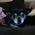 Profile Picture of Cora Foster (@cora.foster.9083) on Facebook