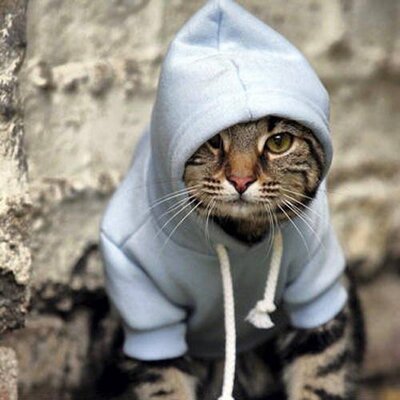 Profile Picture of Bogdan Shevchuk (@Y_black_cat_Y) on Twitter