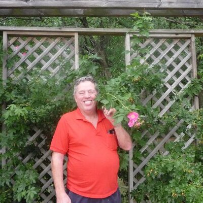 Profile Picture of Denis Labrecque (@jeandenislabrec) on Twitter