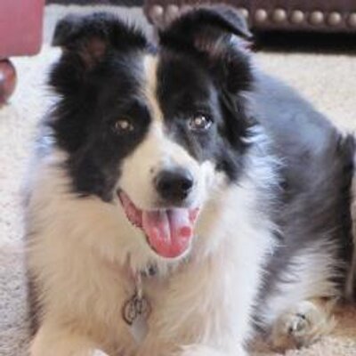 Profile Picture of Charles LaPorte (@@LaPorteCharles) on Twitter