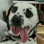 Profile Picture of Ethan McCue (@ethan_mccue) on Instagram