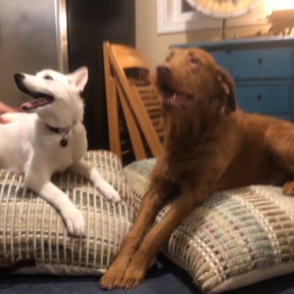 Profile Picture of Joshua Simmons (@joshuasimmon712) on Poshmark