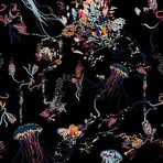 Herbert Radner - Facebook Profile Picture of Herbert Radner (@herbert.radner.9) on Facebook