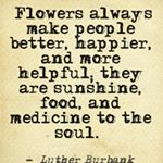 Kimberly's Blooms - Instagram Profile Picture of Kimberly's Blooms (@kimberlysblooms) on Instagram