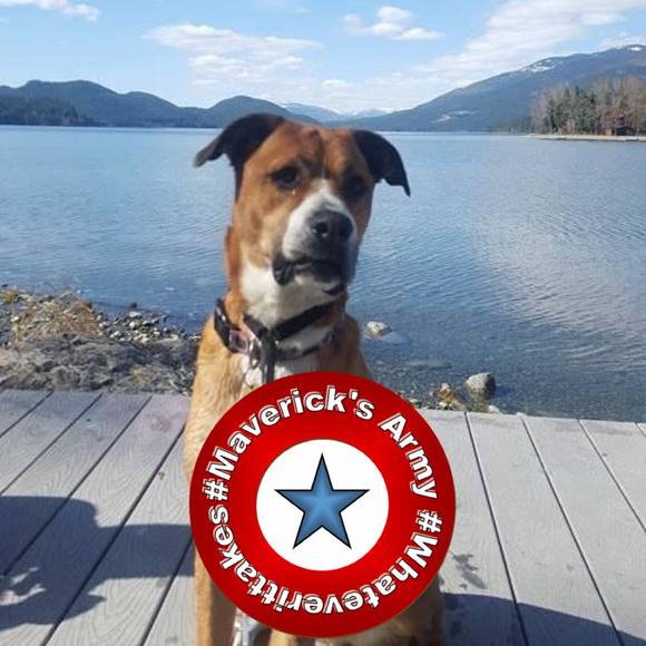 Profile Picture of Kerry Kagerer (@kerrykagerer) on Poshmark