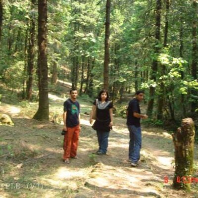 Profile Picture of Umesh Chand (@umeshchand16) on Twitter