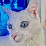 Profile Picture of Gemma Valls (@gemmavlls) on Instagram