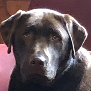 Profile Picture of Patty Trask (@patty.trask.9) on Facebook