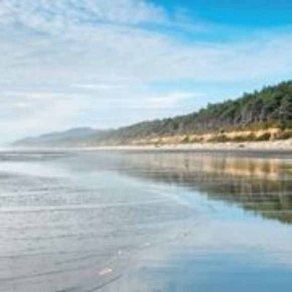 Profile Picture of John Allen (@mebejohn) on Poshmark