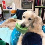 Profile Picture of Kim Jacobi (@kim_jacobi) on Instagram