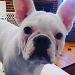 Profile Picture of Debbie Trapp (@debbietrapp) on Instagram