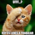 Profile Picture of alexander vegas (@drei.vegas) on Instagram